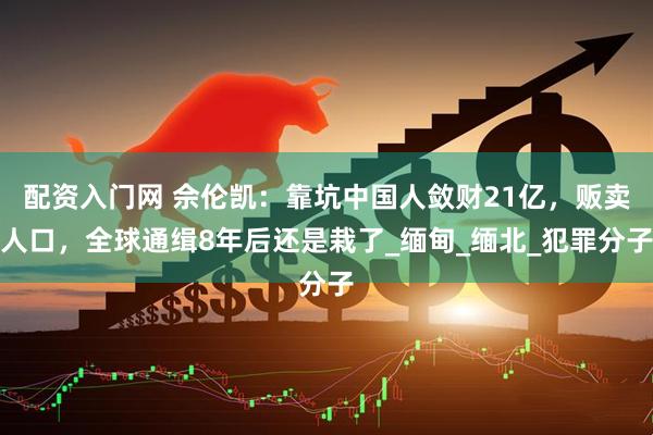 配资入门网 佘伦凯：靠坑中国人敛财21亿，贩卖人口，全球通缉8年后还是栽了_缅甸_缅北_犯罪分子