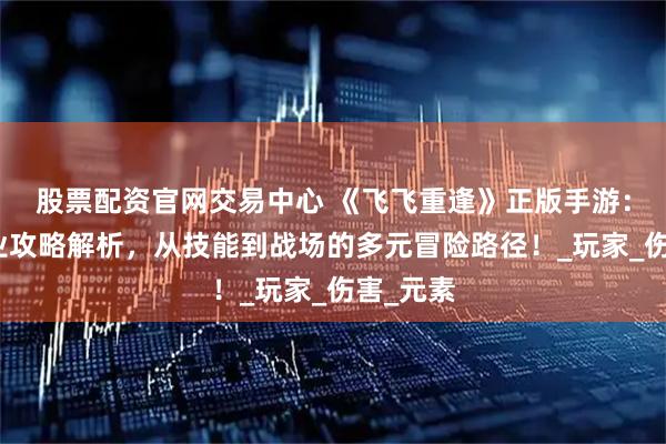 股票配资官网交易中心 《飞飞重逢》正版手游：三大职业攻略解析，从技能到战场的多元冒险路径！_玩家_伤害_元素